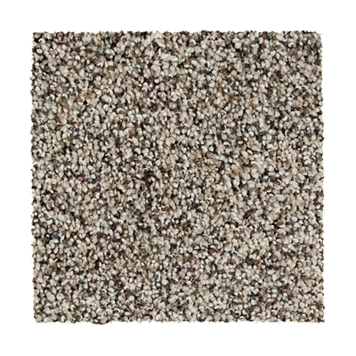Mohawk Soft Distinction I Carpet – Color Looking Glass